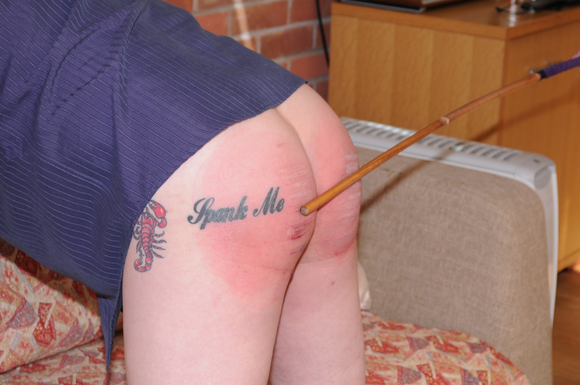 DSC_3161.JPG